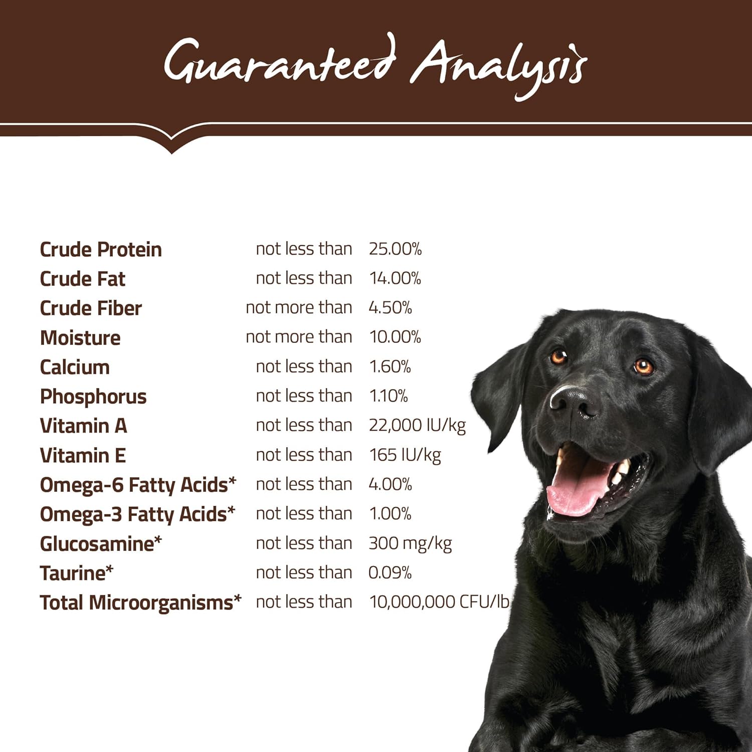 Holistic Select Natural Dry Dog Food, Anchovy & Sardine and Salmon Meal Recipe, 30-Pound Bag : Dry Pet Food : Pet Supplies
