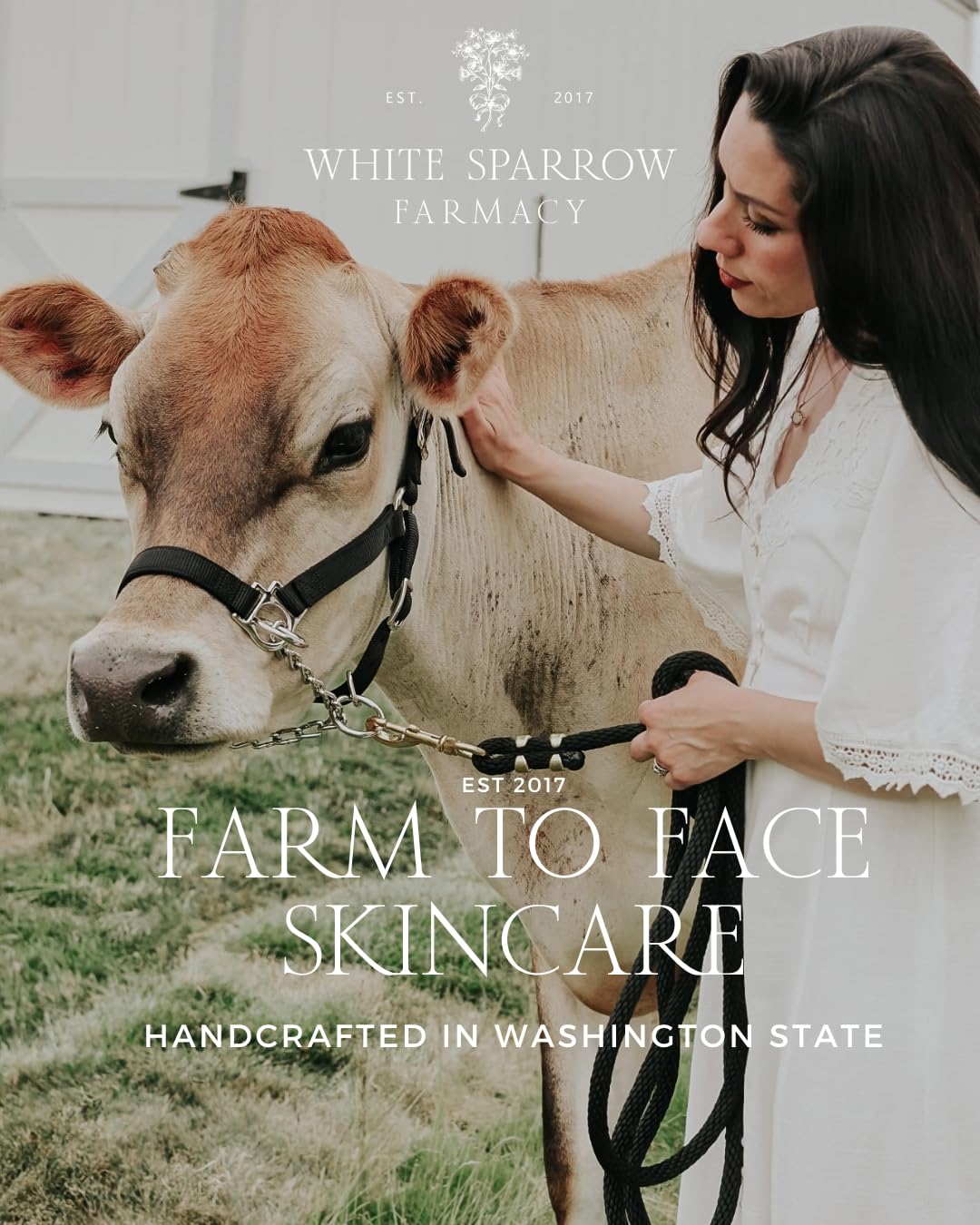 Organic Tallow Lip Balm (Peppermint) From Grass Fed Cows. Super Hydrating With Tallow, Olive Oil, Honey, And Beeswax. Sustainable Cardboard Tubes & Hand Filled. Jumbo Size 0.5 Oz. : Beauty & Personal Care