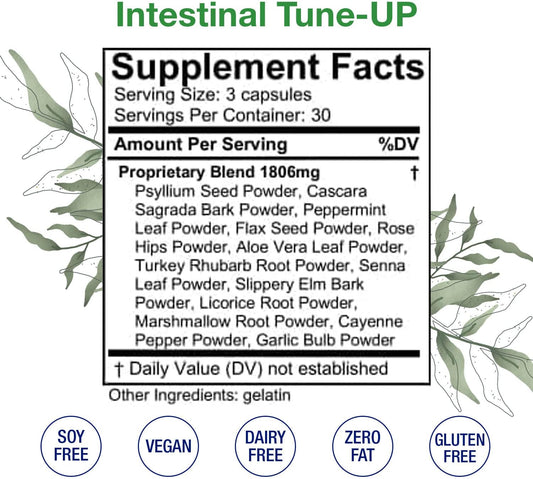 HoneyCombs Intestinal Tune-Up – Herbal Bowel Detox and Natural Constipation Relief – Adults Herbal Laxatives, Constipation Relief, Intestinal Cleanse & Colon Cleanser, 90 Capsules : Health & Household