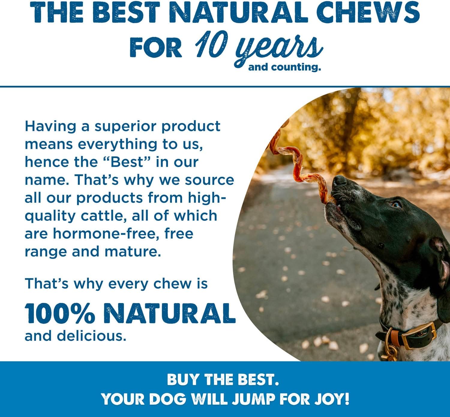 Best Bully Sticks All Natural Dog Chews - 5 Inch Curly Beef Collagen Sticks - USA Baked & Packed - Highly Digestible, Limited Ingredient, Rawhide Alternative Dog Chew - 10 Pack : Pet Supplies