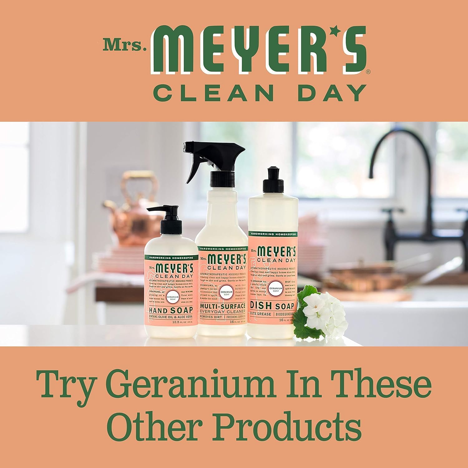 Mrs. Meyer's Liquid Dish Soap Geranium, 16 OZ (Pack of 6) : Health & Household