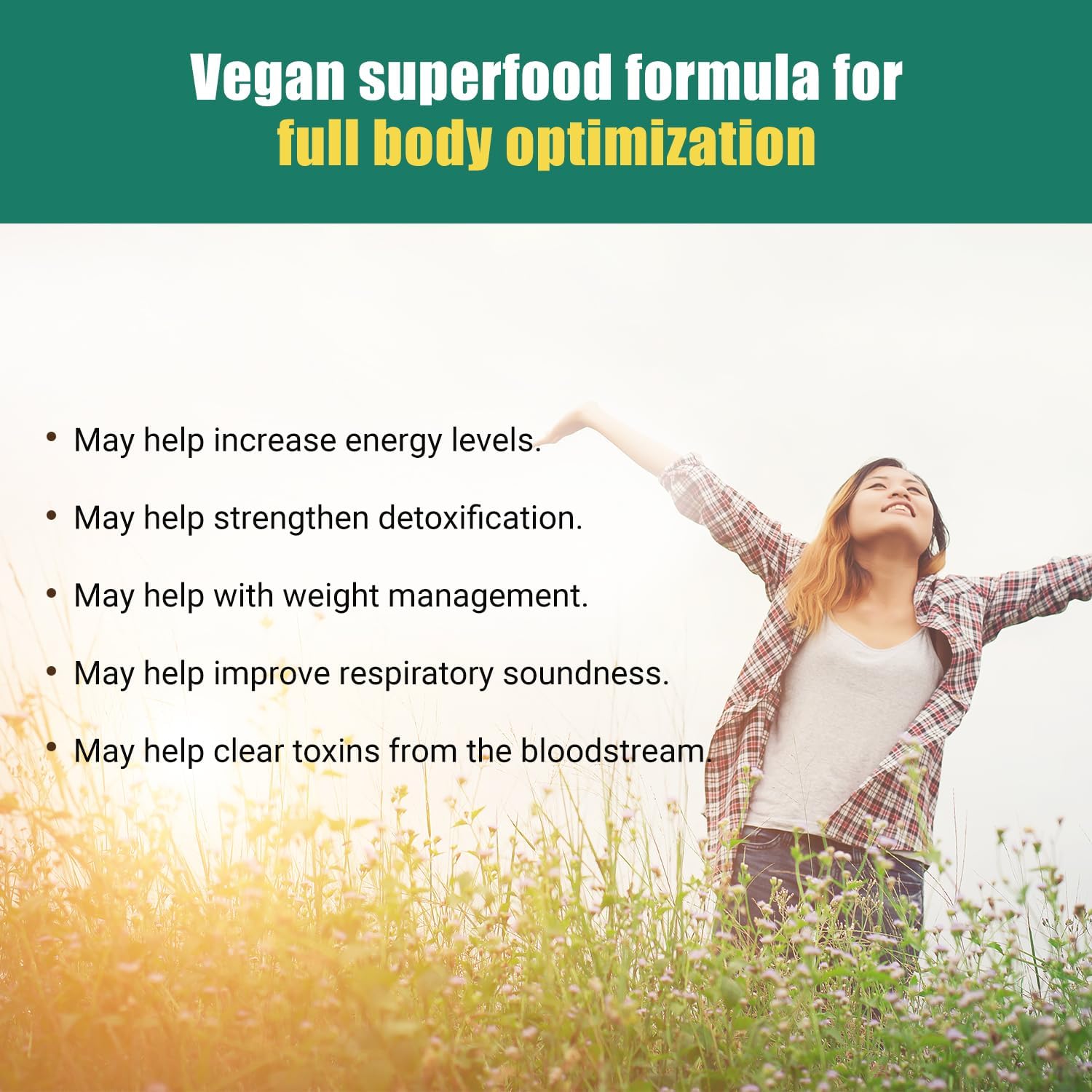 Ancient Bliss Organic Irish Sea Moss Pills - Dr Sebi Wildcrafted Seamoss Capsules | Thyroid, Healthy Skin & Gut Support | 120 Capsules : Health & Household