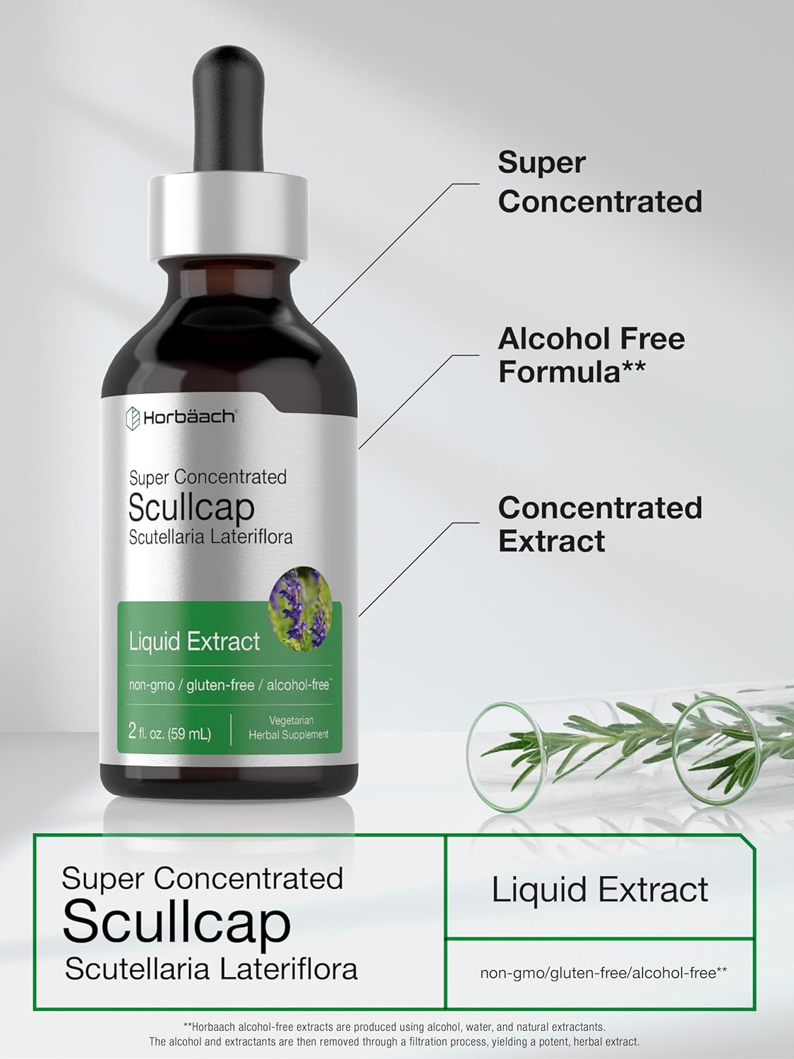 Scullcap Liquid Extract | 2 fl oz Tincture | Super Concentrated | Alco
