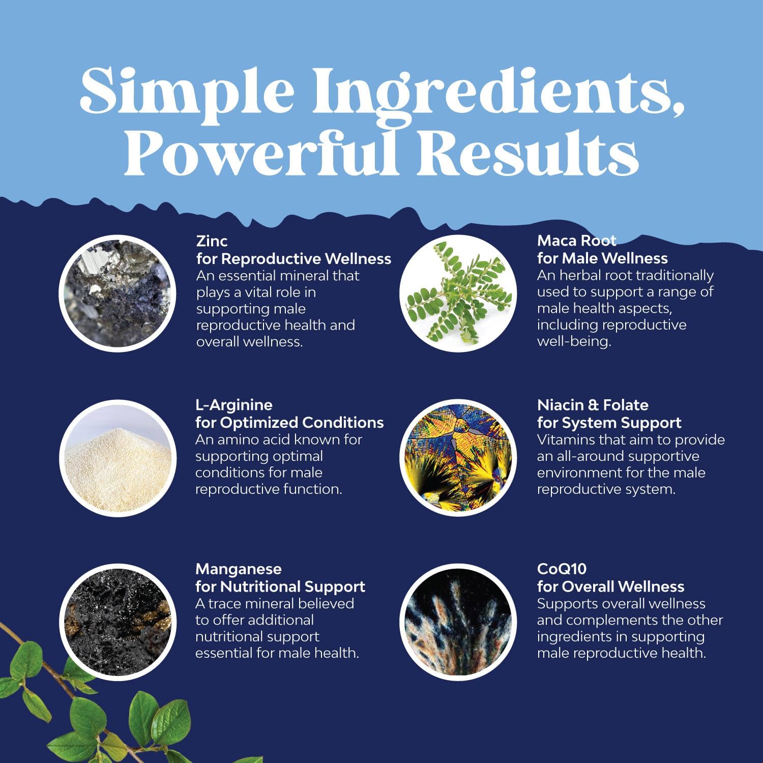 Prenatal Multivitamin for Male Fertility - with L-Arginine, D-Aspartic Acid, Maca Root for Enhanced Motility, Volume, Potency - 90 Capsules : Health & Household