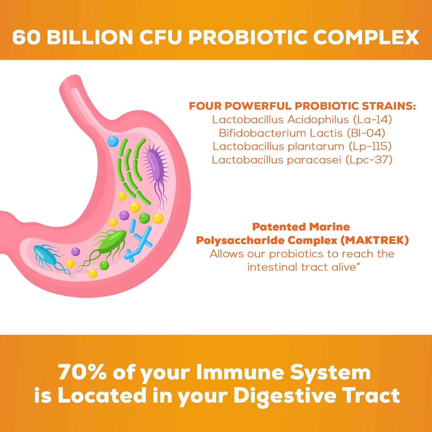 Probiotic for Digestive Health - 60 Billion CFU Daily Probiotics & Prebiotics Supplement with Acidophilus - Immune Support for Women & Men - Shelf Stable, Soy, Dairy & Gluten Free - 60 Capsules : Health & Household