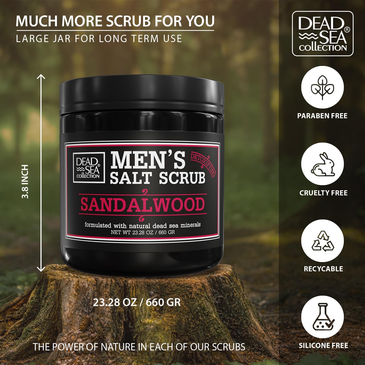 Salt Body Scrub Eucalyptus & Mint For Men– Moisturizes, Exfoliates & Nourishes Skin – Cleanses & Detoxifies With Dead Sea Minerals – Dead Sea Collection - 23.28 Oz : Beauty & Personal Care