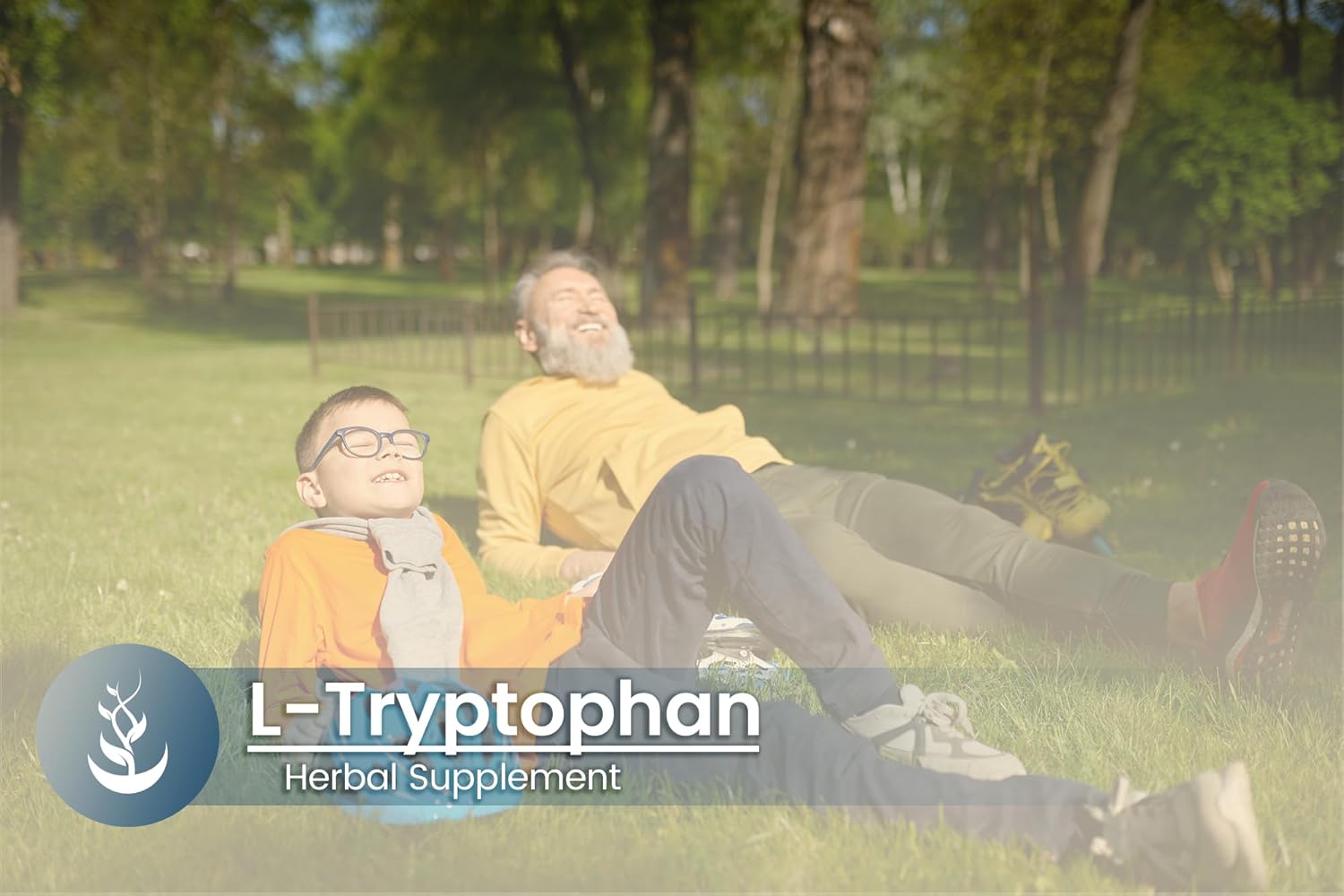 Pure Original Ingredients L-Tryptophan, (100 Capsules) Always Pure, No Additives Or Fillers, Lab Verified : Health & Household