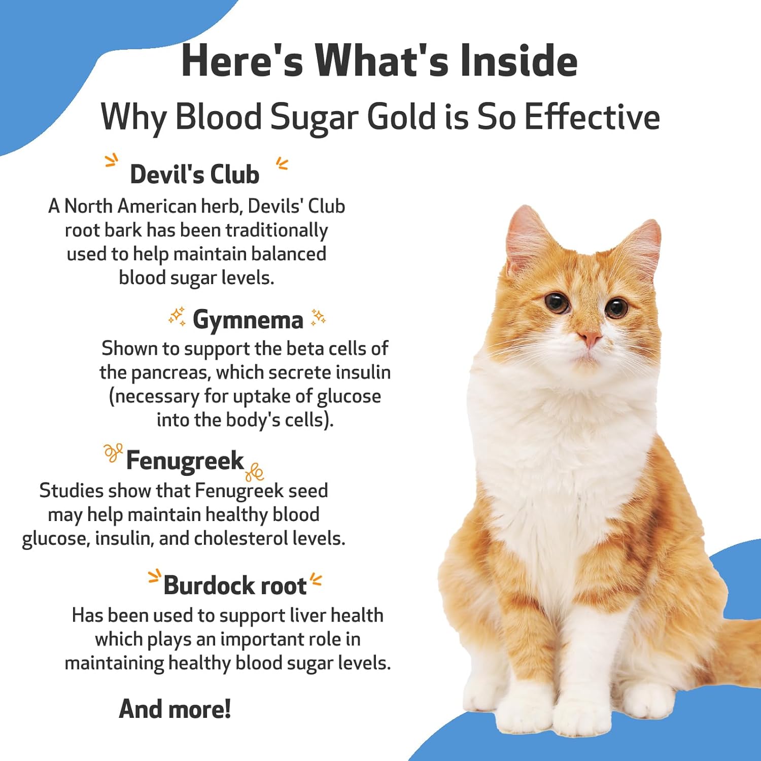 Pet Wellbeing - Blood Sugar Gold for Cats - Natural Support for Healthy Blood Sugar Levels in Diabetic Cats - Insulin Stabilization & Normal Pancreatic Function - 2 oz (59 ml) : Pet Supplies