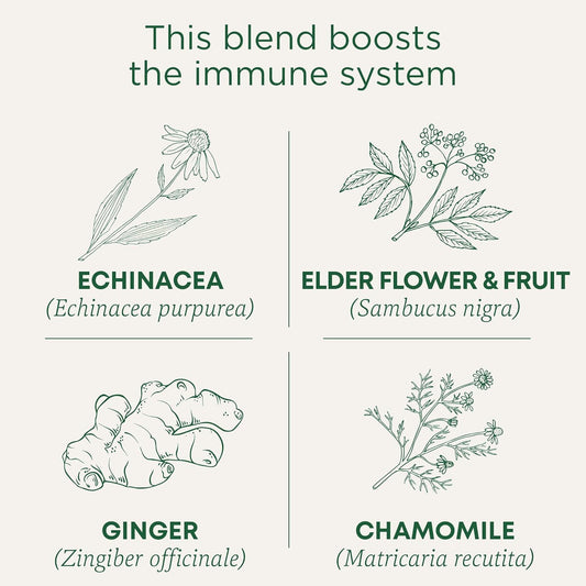 Traditional Medicinals Tea, Organic Echinacea Plus Elderberry, Boosts The Immune System, 16 Tea Bags