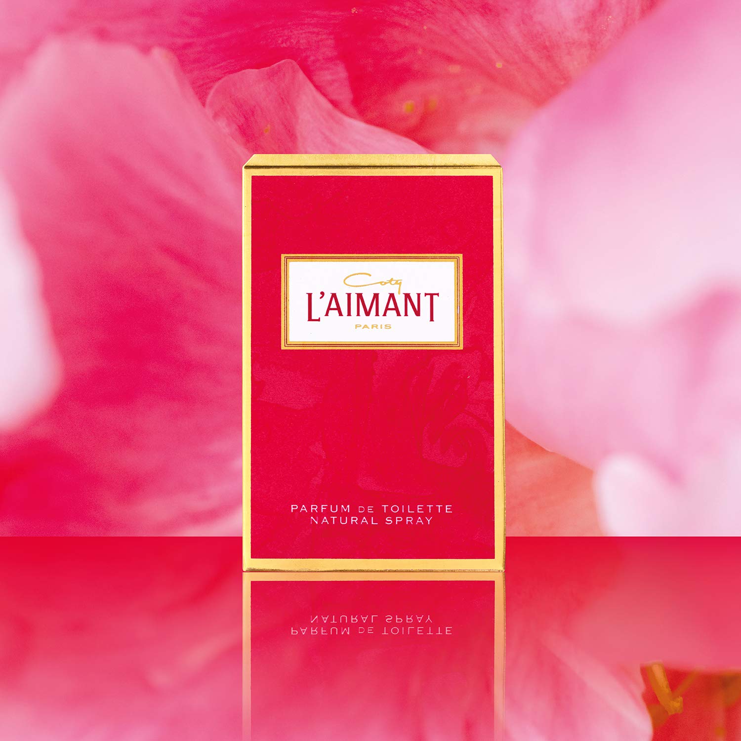 Coty L'Aimant Parfum De Toilette Spray, 1.7 Ounce : Eau De Parfums : Beauty & Personal Care
