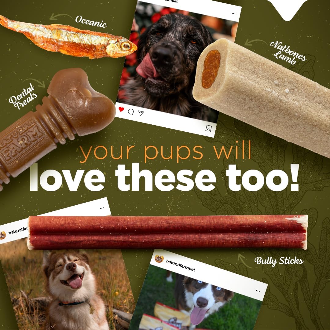 Natural Farm Real Fish Dried Fish Dog Treats- Dried Anchovies- Natural Dried Fish Dog Treats- Sustainably Sourced Fish,1 Ingredient - Anchovies, Collagen, Omega 3,Vitamin B&D for a Shiny Coat : Pet Supplies