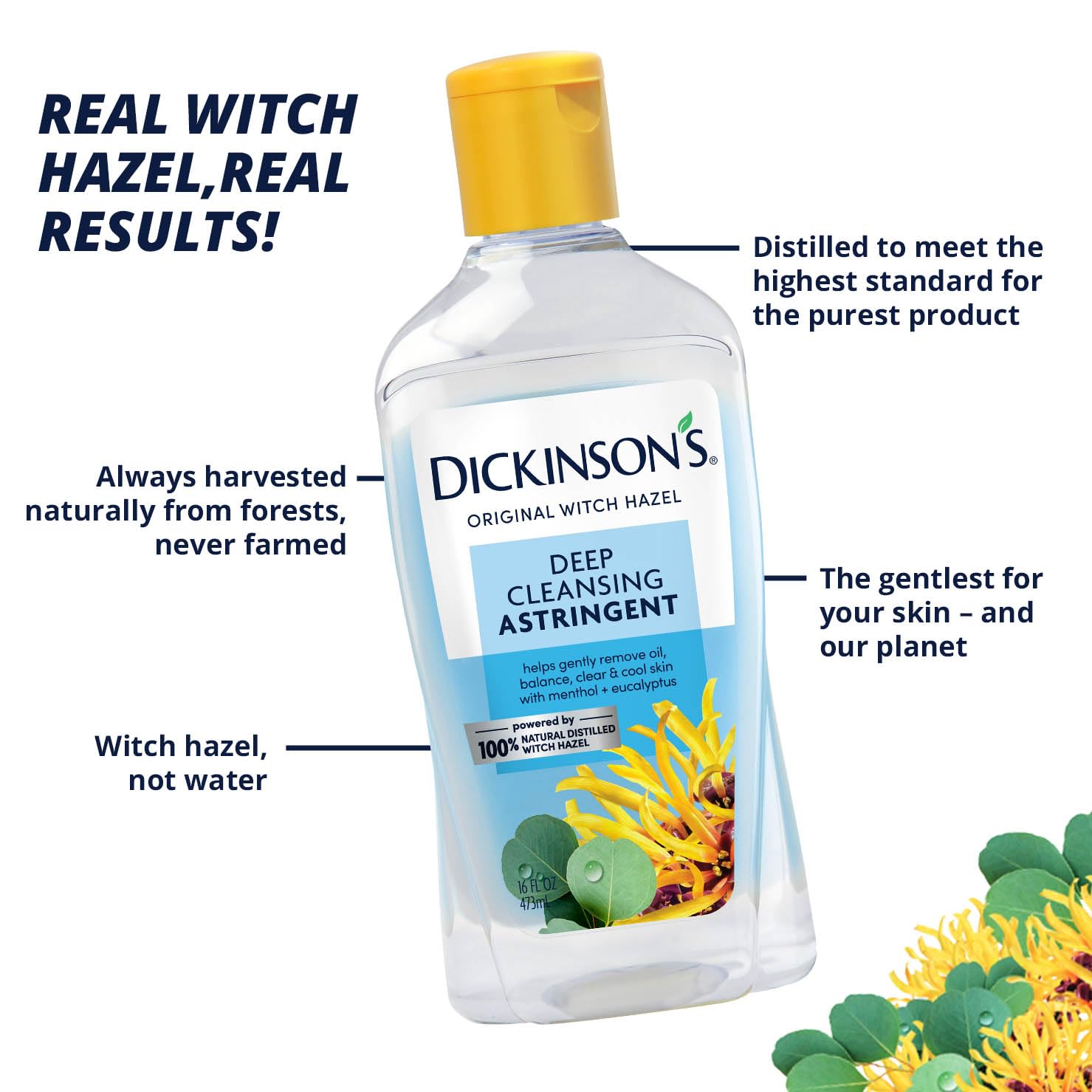 Dickinson's Enhanced Witch Hazel Deep Cleansing Astringent, Menthol and Eucalyptus, 92 % Natural Formula, 16 Fl. Oz. : Beauty & Personal Care