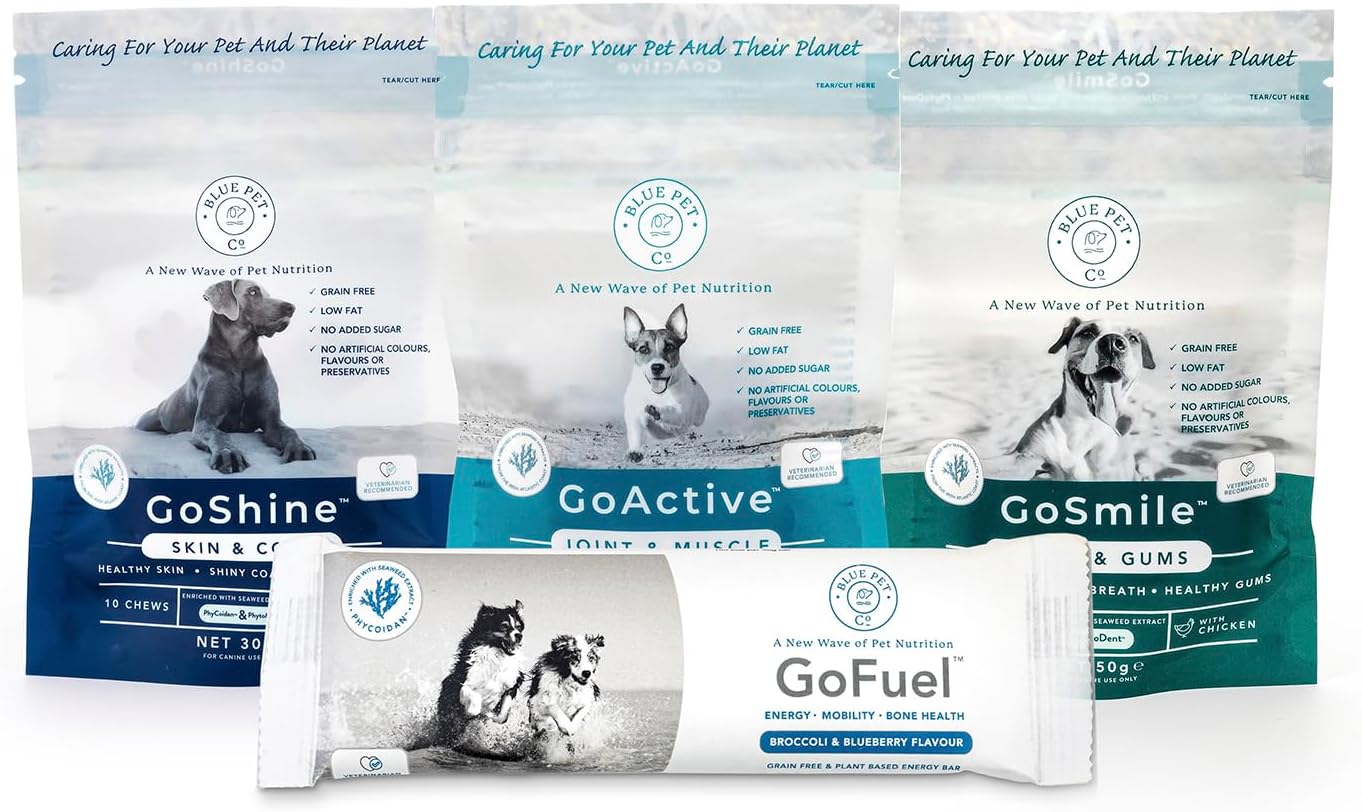 Blue Pet Co - GoFetch - 1 GoActive Chicken 10 Chew, 1 GoShine Chicken 10 Chew, 1 GoSmile Chicken 4 Sticks, 1 GoFuel Pumpkin - For Healthy Joints & Thick Coat - Removes Plaque & Bacteria