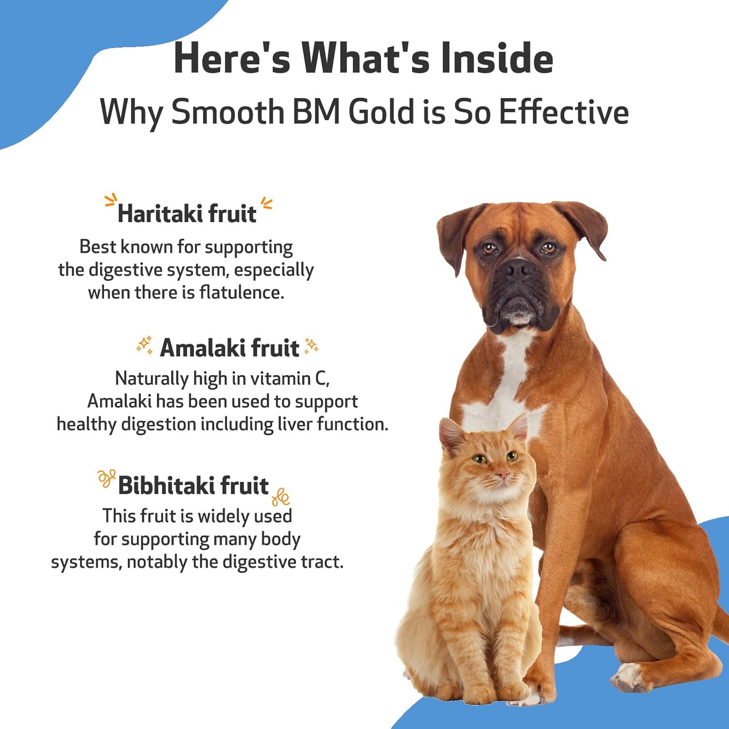 Pet Wellbeing Smooth BM Gold for Cats & Dogs - Vet-Formulated - Gentle Constipation Relief - Natural Herbal Supplement 4 oz (118 ml) : Pet Supplies