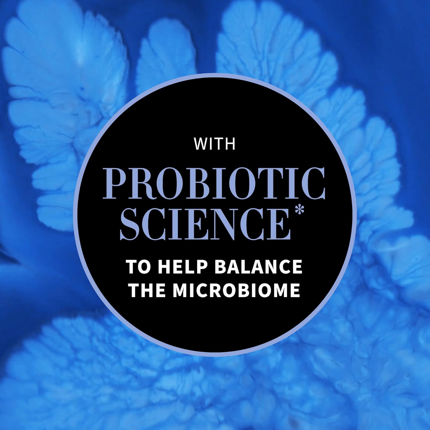 ANTIPODES Culture Probiotic Night Water Cream 60ml : Amazon.co.uk: Beauty