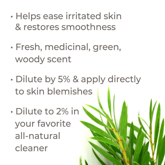 Plant Therapy Tea Tree Essential Oil 100% Pure, Pre-Diluted Roll-On, Natural Aromatherapy, Therapeutic Grade 10 Ml (1/3 Oz)