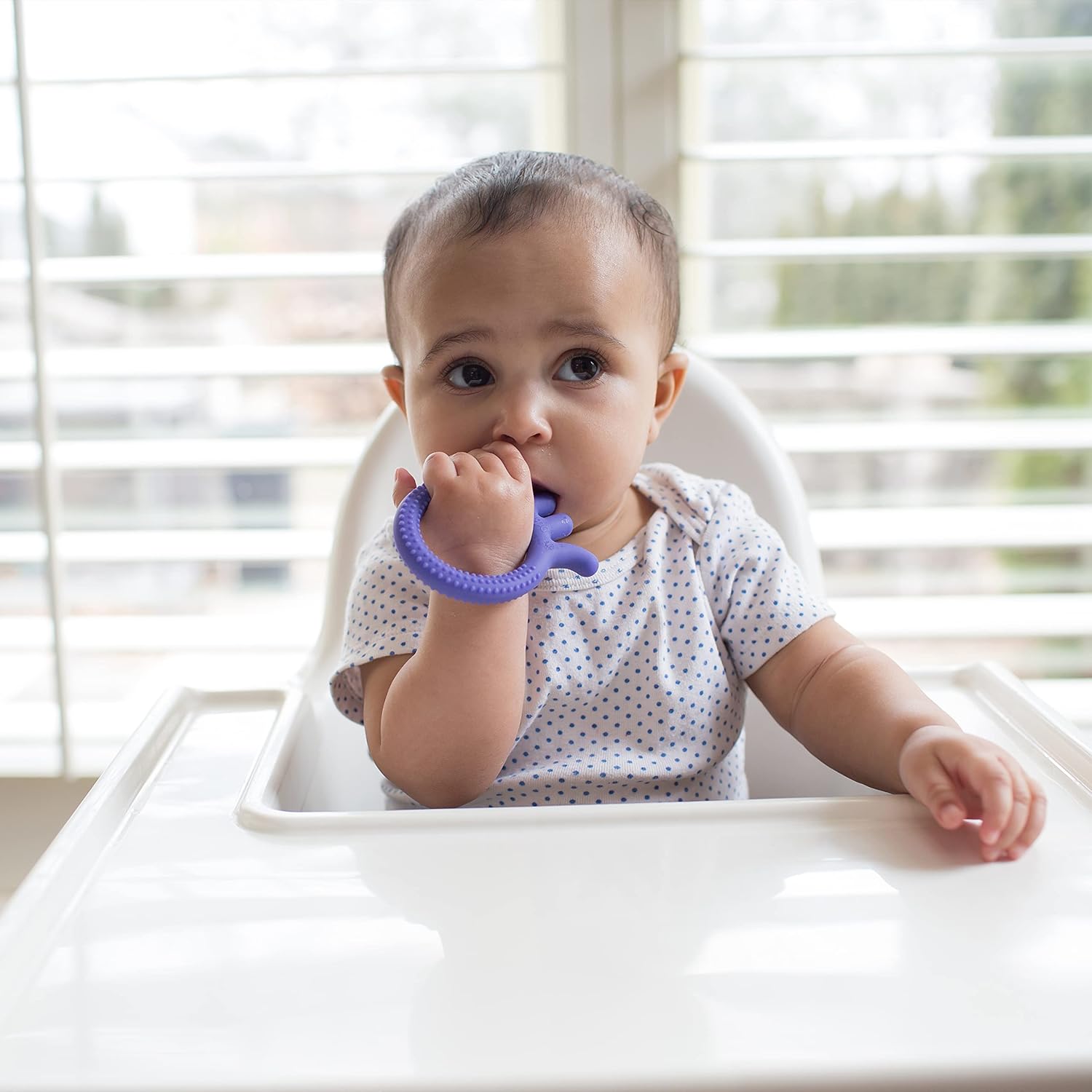 Dr. Brown's Flexees Friends Silicone Teether, Purple Octopus : Everything Else