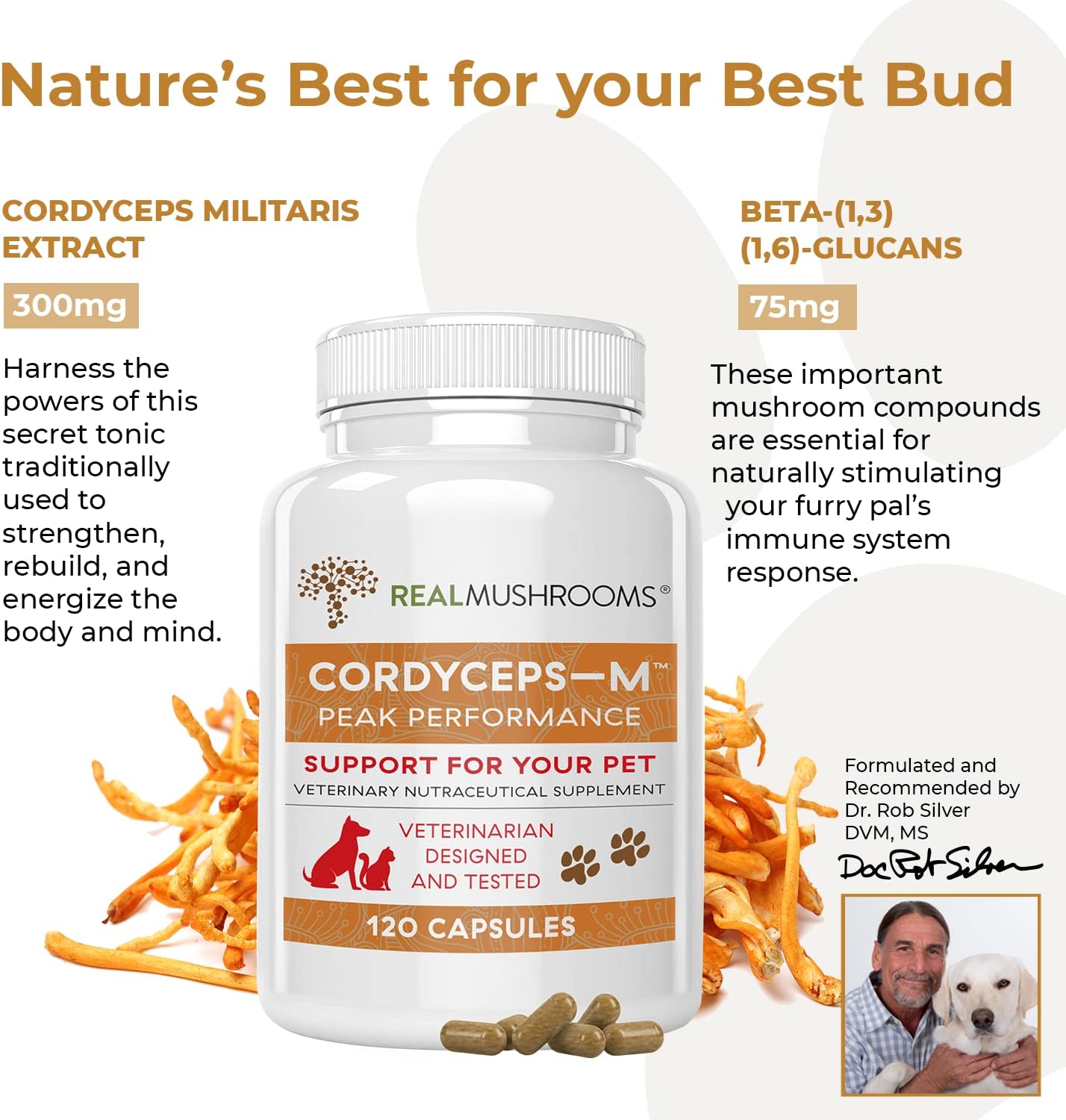 Real Mushrooms Cordyceps Pet Support Mushroom Supplement (120ct) Cat & Dog Vitamins and Supplements for Performance, Energy, & Vitality - Vet Approved Mushroom Powder Capsules Grain-Free, Non-GMO : Health & Household