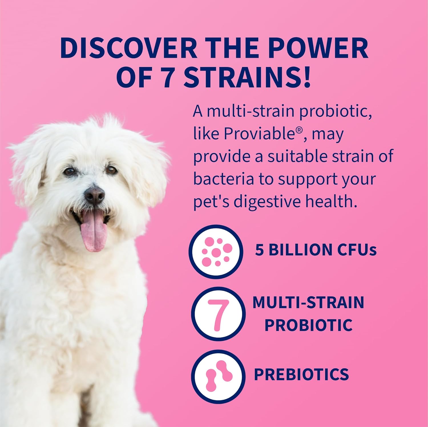 Nutramax Laboratories Proviable Digestive Health Supplement Multi-Strain Probiotics And Prebiotics For Dogs, With 7-Strains Of Bacteria, 60 Chewable Tablets