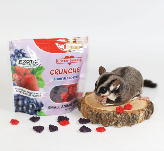 Crunchez Berry Blend - Crunchy Fruit Flavored Treat Bites - Sugar Gliders, Squirrels, Marmosets, Prairie Dogs, Hamsters, Chinchillas, Exotic Birds, Rabbits, Guinea Pigs, Degus, Small Pets… (2.5 Oz.)