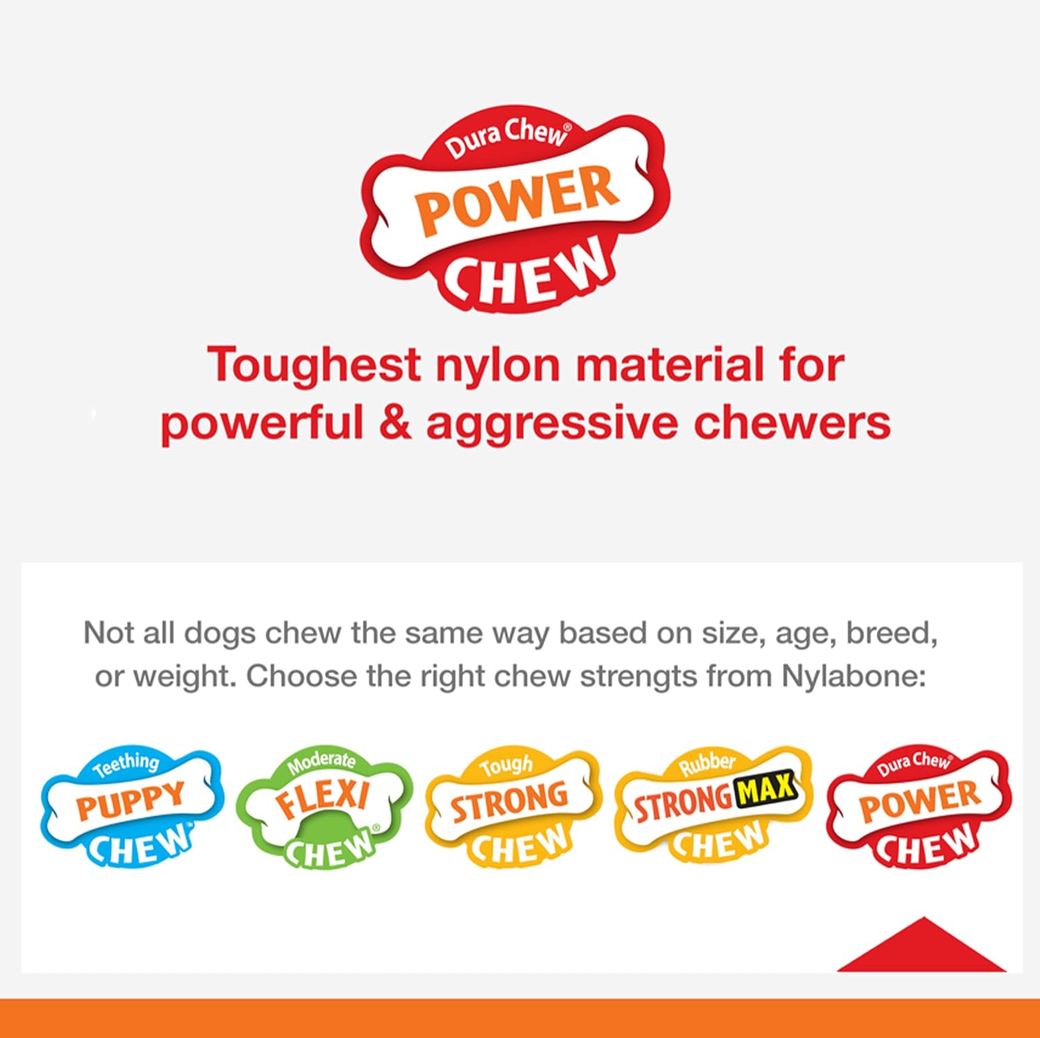 Pet Supplies : NylaDental Bone Power Chew Flavor Frenzy Dental Bone Chew Toy for Dogs, Indestructible Chew Toys for Aggressive Chewers, Beef Jerky Flavor, Medium/Wolf - Up to 35 lbs. (1 Count) : Amazon.com