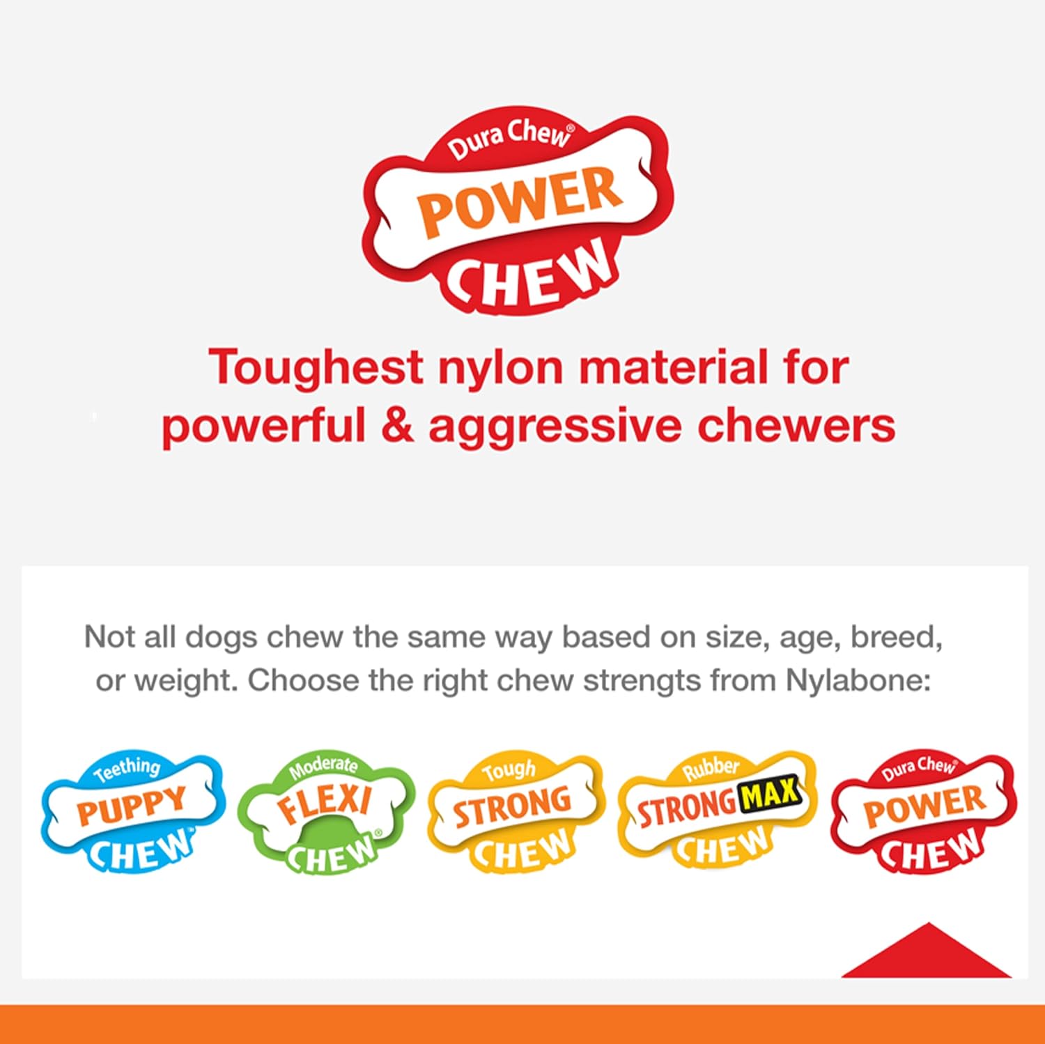 Pet Supplies : NylaDental Bone Power Chew Flavor Frenzy Dental Bone Chew Toy for Dogs, Indestructible Chew Toys for Aggressive Chewers, Beef Jerky Flavor, Large/Giant - Up to 50 lbs. (1 Count) : Amazon.com