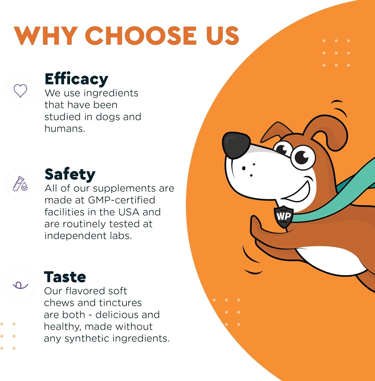 Wonder Paws Probiotics for Dogs – Daily Probiotic Supports Gut Health, Digestion, Gas, Bloating, Constipation, Stomach Relief & Immune Support - With Natural Probiotic & Prebiotic – 90 Probiotic Chews : Pet Supplies