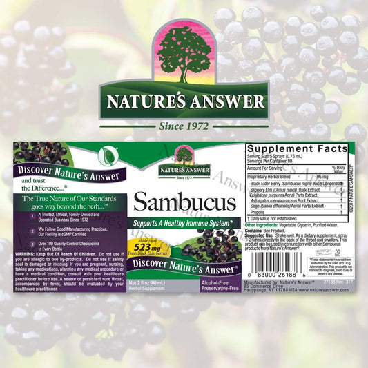 Nature'S Answer Sambucus Elderberry Syrup Spray ( Pack Of 4 ) - 2 Fluid Ounces | Natural Immune Booster | Travel Friendly | Packed With Antioxidants | Great Tasting | Immune On The Go