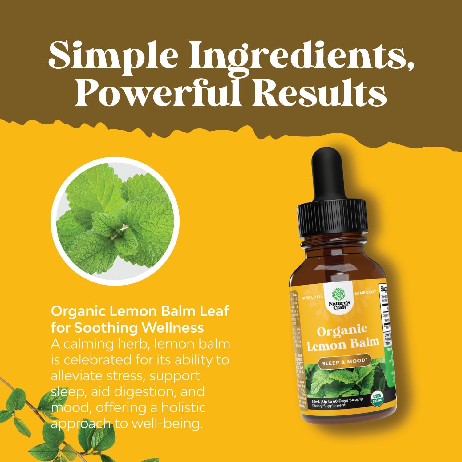 Lemon Balm Extract for Immune Support - Organic Lemon Balm Tincture for Mood Support and Digestive Health for Adults and Kids Vegan Non-GMO Lemon Balm Oil for Enhanced Relaxation and Concentration : Health & Household