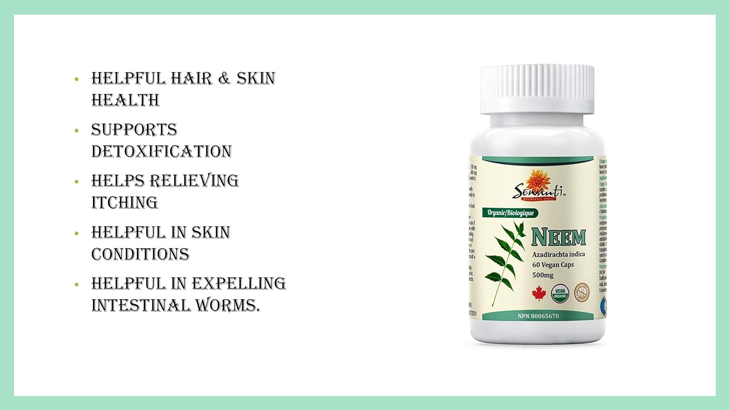 Sewanti Neem Supplement Capsules -Natural Ayurvedic Herbal Cleanser and Purifier, Immune Support & Skin Health Supplement -Clear Skin - High Potency Extract Capsules 500mg : Health & Household