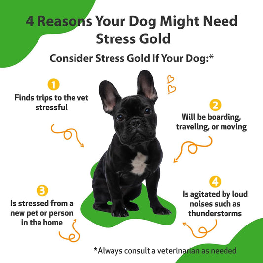 Pet Wellbeing Stress Gold For Dogs - Vet-Formulated - Calming And Relaxing Support For High-Stress Situations - Natural Herbal Supplement 2 Oz (59 Ml)