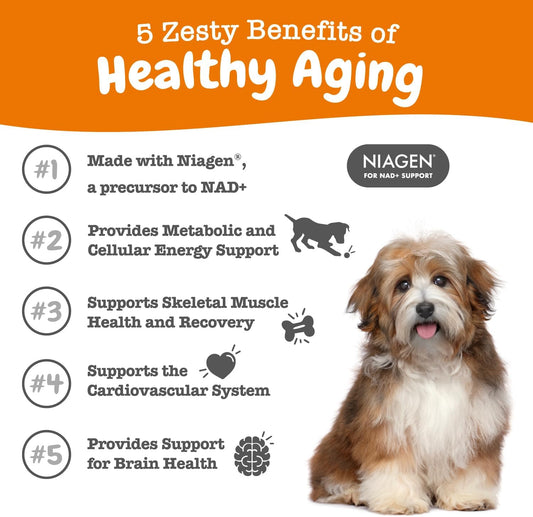 Zesty Paws Nad+ Precursor Supplement For Dogs - Niagen For Healthy Aging & Skeletal Muscle Support & Recovery - Brain, Heart, & Cellular Energy Support - Nicotinamide Riboside Chloride – 30 Sachets