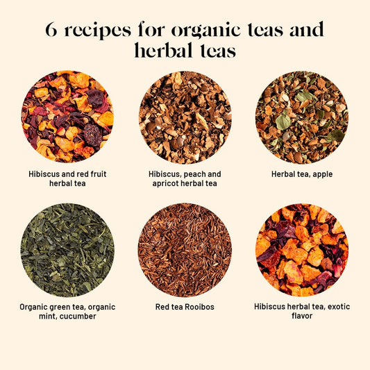 Kusmi Tea - Iced Teas Gift Set - Sampler Assortment Variety Box - Organic Teas - Gift Idea For Men And Women - Flavored Infusions, Hibiscus, Rooibos, Green Tea - 6 Iconic Blends - 24 Tea Bags