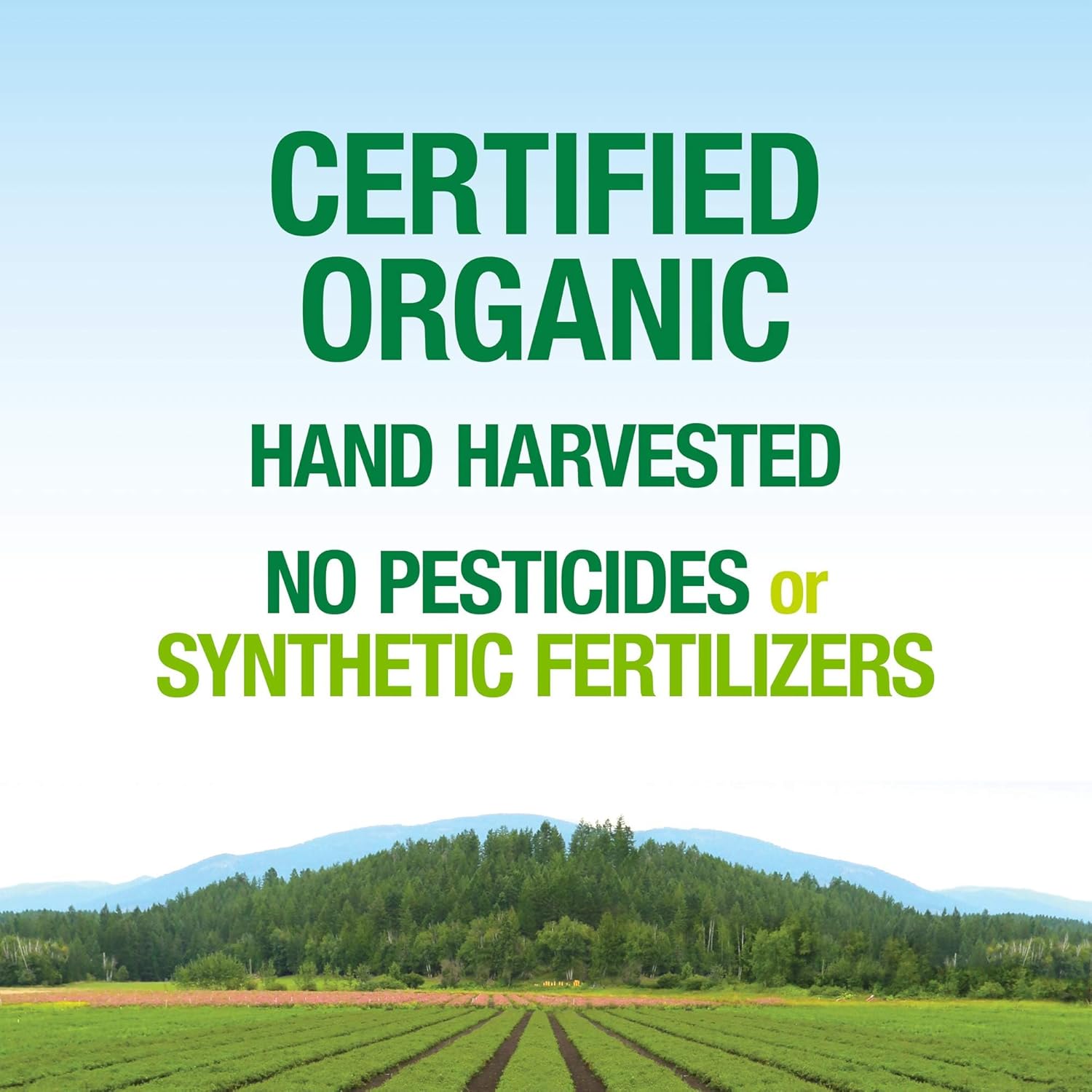 Whole Earth & Sea From Natural Factors, Sunflower Vitamin E, Whole Food Supplement
