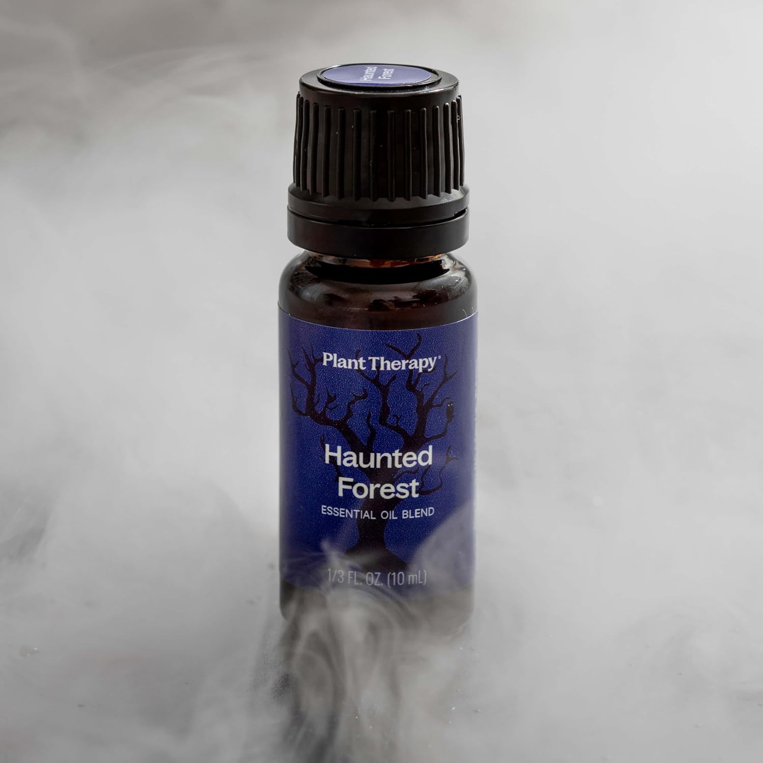 Plant Therapy Haunted Forest Essential Oil Blend 10 mL (1/3 oz) Complex Sweet & Spicy Scent, Encourages Mental Focus, Unique Blend of Essential Oils : Health & Household