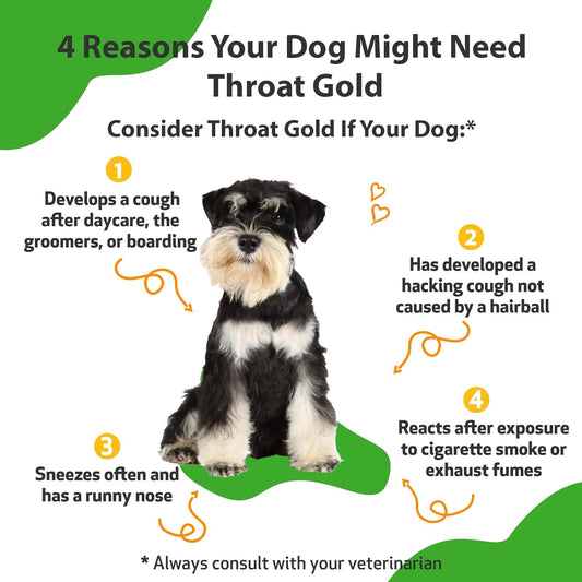 Pet Wellbeing Throat Gold For Dogs - Vet-Formulated - Soothes Throat Discomfort, Hoarseness, Leash Strain, Occasional Cough In Dogs - Natural Herbal Supplement 2 Oz (59 Ml)