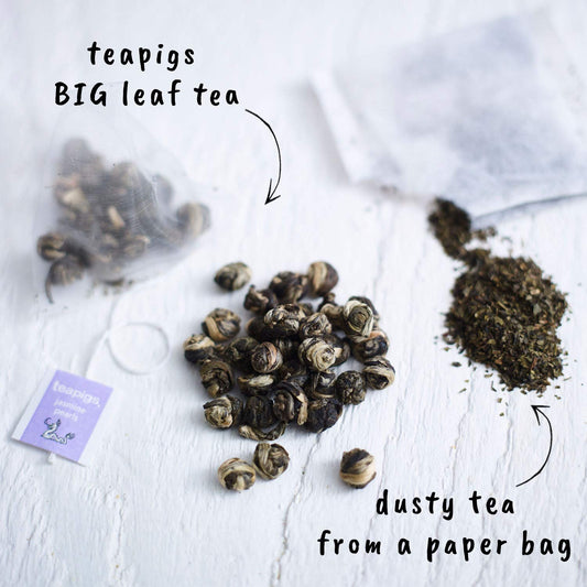 Teapigs Jasmine Pearls Green Tea Bags, 15 Count, Rolled Pearls Of Green Tea & Whole Jasmine Flowers, Biodegradable Tea Bag