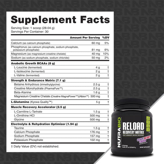 NutraBio Reload - Powerful Muscular Recovery Formula - Post-Workout Supplement - 3G Creatine - 8G BCAAs - 5G Glutamine - 30 Servings, Grape Berry Crush
