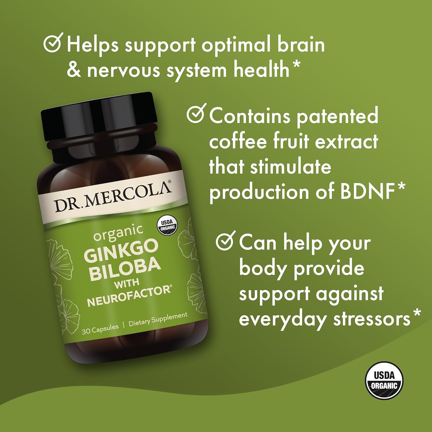 Dr. Mercola Organic Ginkgo Biloba with Coffee Fruit Extract Dietary Supplement, 30 Servings per Container (30 Capsules), Supports Mitochondrial Health as Well as Brain and Cognitive Function : Health & Household