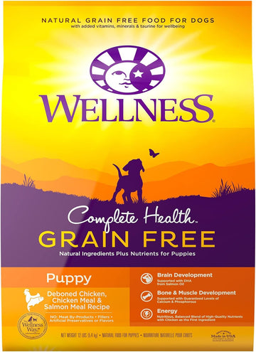 Wellness Complete Health Natural Grain Free Dry Puppy Food, Chicken & Salmon, 12-Pound Bag