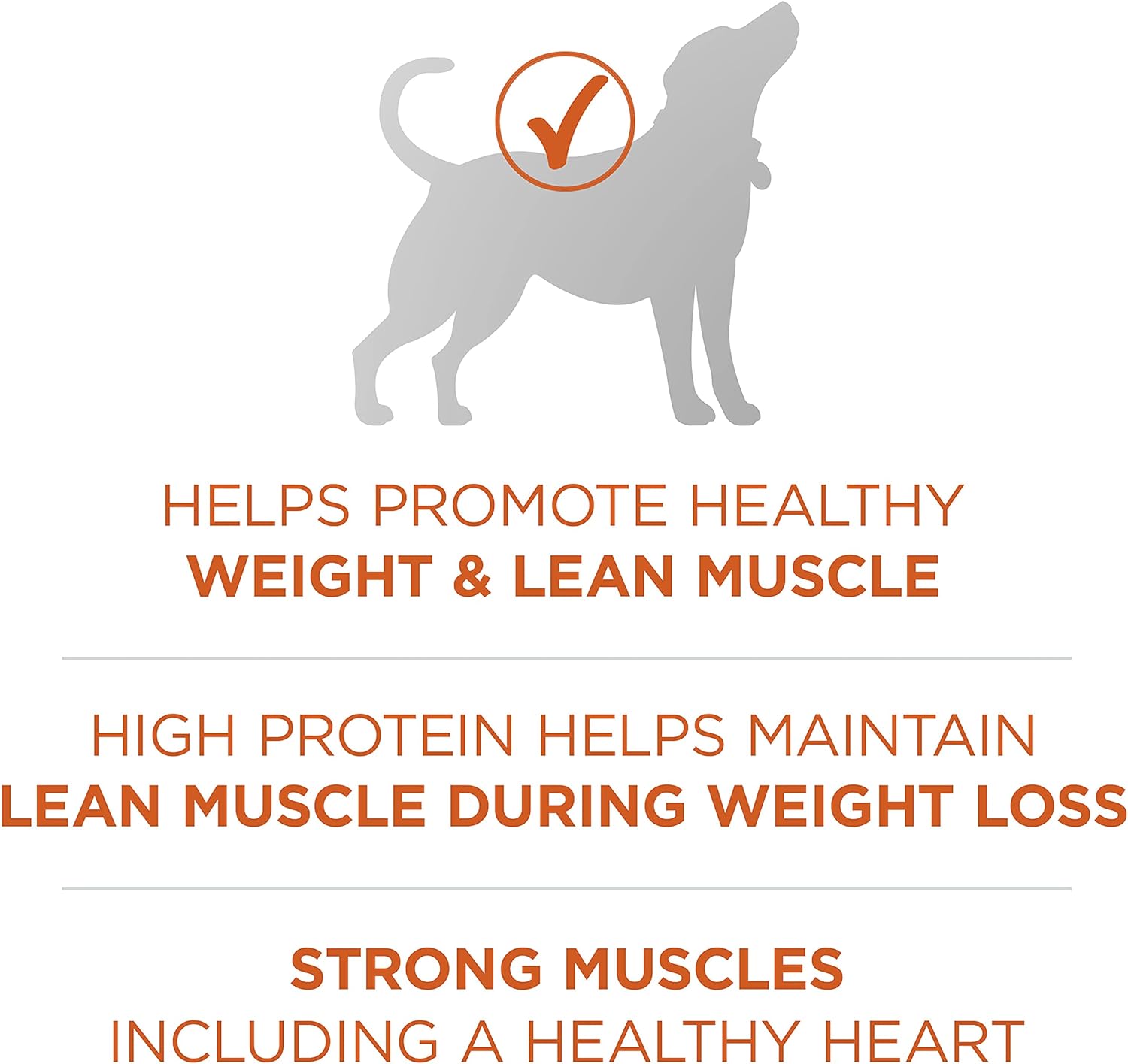 Purina ONE Plus Healthy Weight High-Protein Dog Food Dry Formula - 40 lb. Bag : Pet Supplies