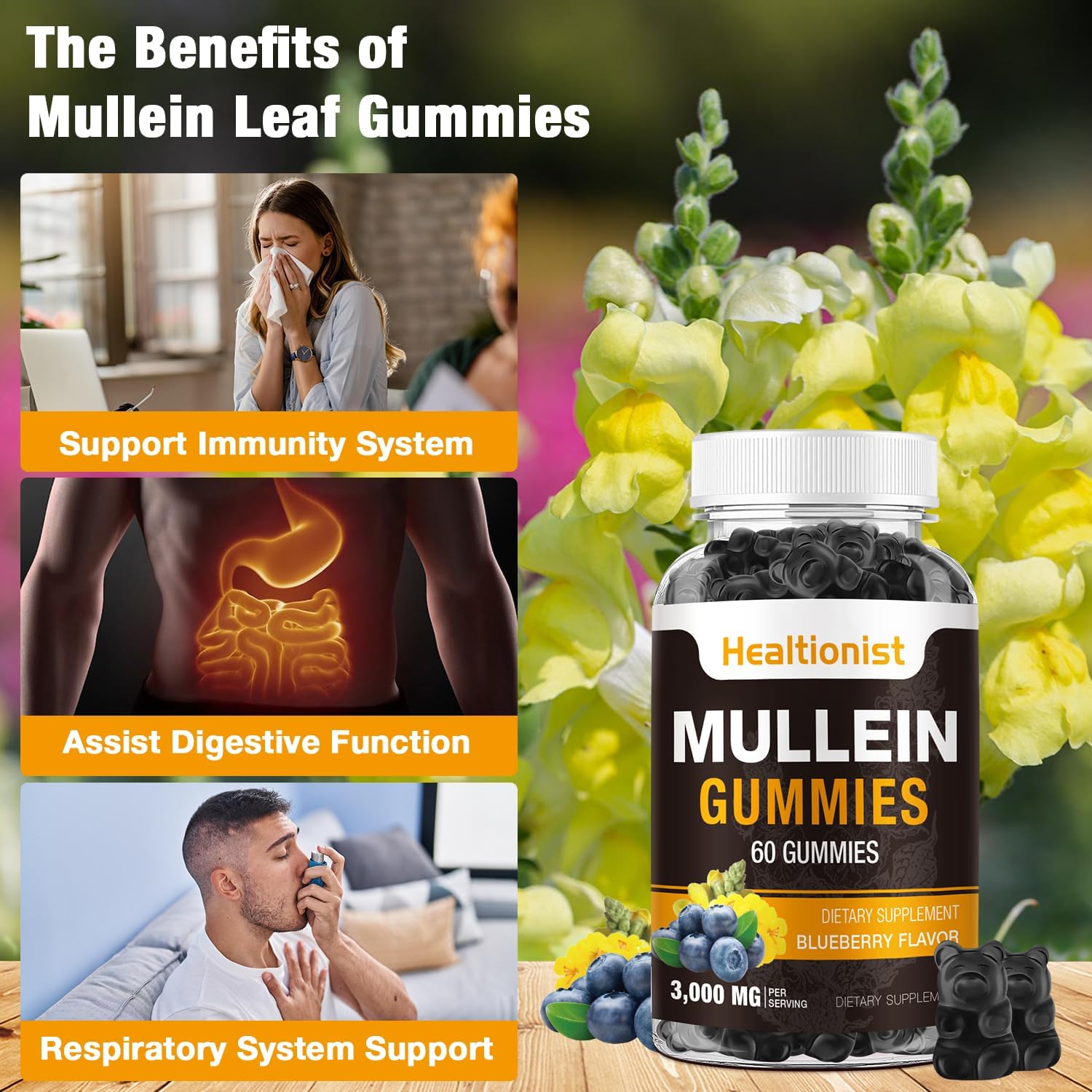 Healtionist 1 Pack Sugar Free Mullein Gummies - Lung Cleanse, 3000Mg Mullein Supplement For Respiratory, Organic Mullein Drops Gummy With Quercetin & Bromelain For Lung, Digestive Health & Immune 90Ct : Health & Household