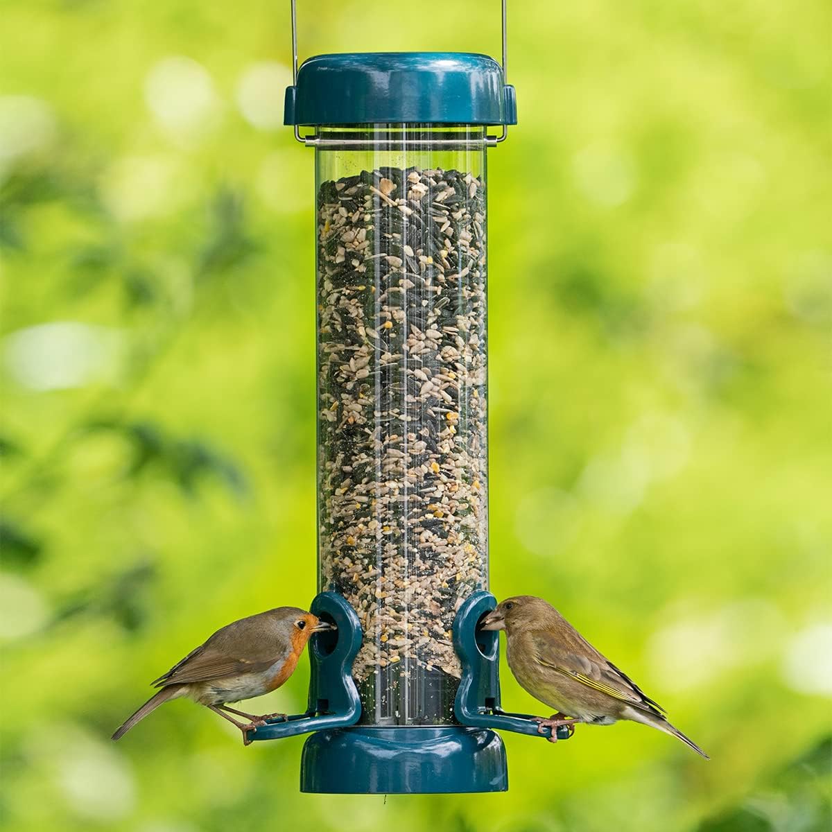 Garden Bird Feeders - Jacobi Jayne® flo™ Festival Hanging, Easy-clean Bird Feeder For sunflower Seeds - Metal bird feeder, Blue, Small sunflower heart feeder :Garden