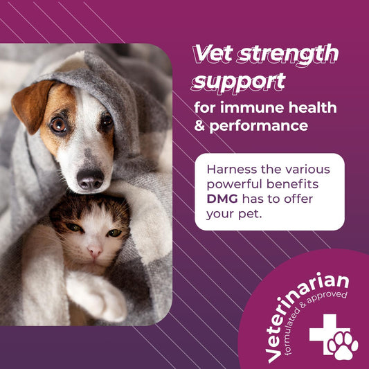 VetriScience Vetri DMG Liquid Drop - 114ml Bottle - Immune Support Supplements for Dogs and Cats?