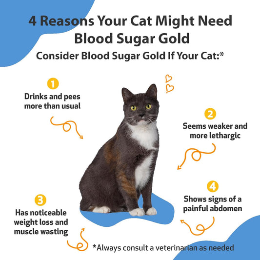 Pet Wellbeing - Blood Sugar Gold For Cats - Natural Support For Healthy Blood Sugar Levels In Diabetic Cats - Insulin Stabilization & Normal Pancreatic Function - 2 Oz (59 Ml)