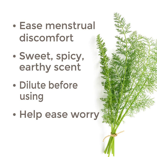 Plant Therapy Sweet Fennel Essential Oil 30 Ml (1 Oz) 100% Pure, Undiluted, Therapeutic Grade