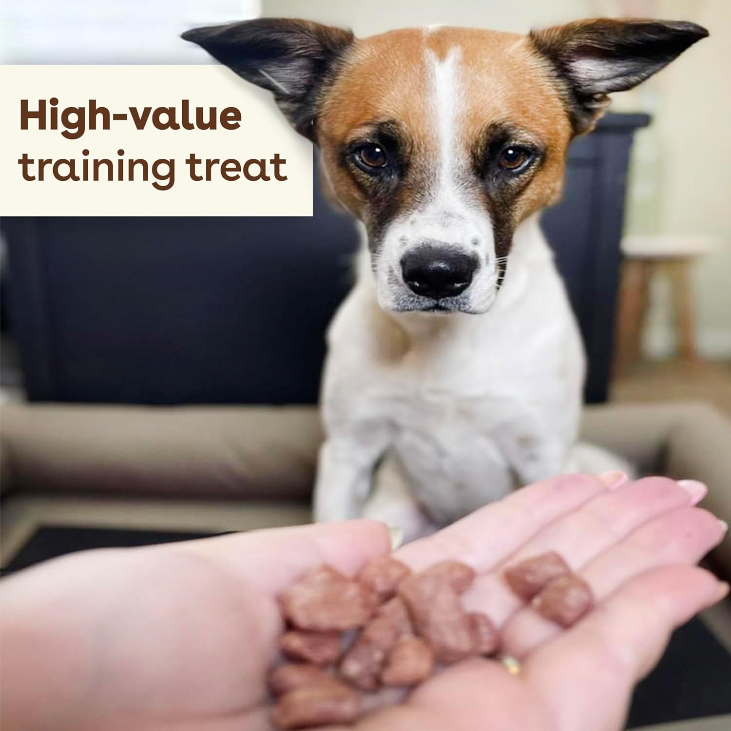 Pupford Freeze Dried Training Treats for Dogs & Puppies, 475+ Three Ingredient Bites (Beef Liver, 4 oz) : Pet Supplies