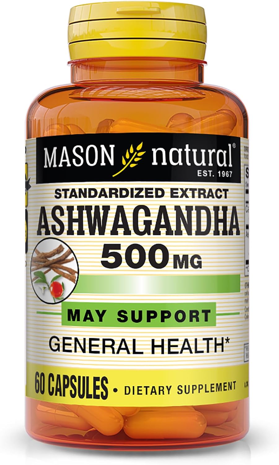 MASON NATURAL Ashwagandha 500 mg - Healthy Stress Response and Mood Support, Herbal Supplement, 60 Capsules