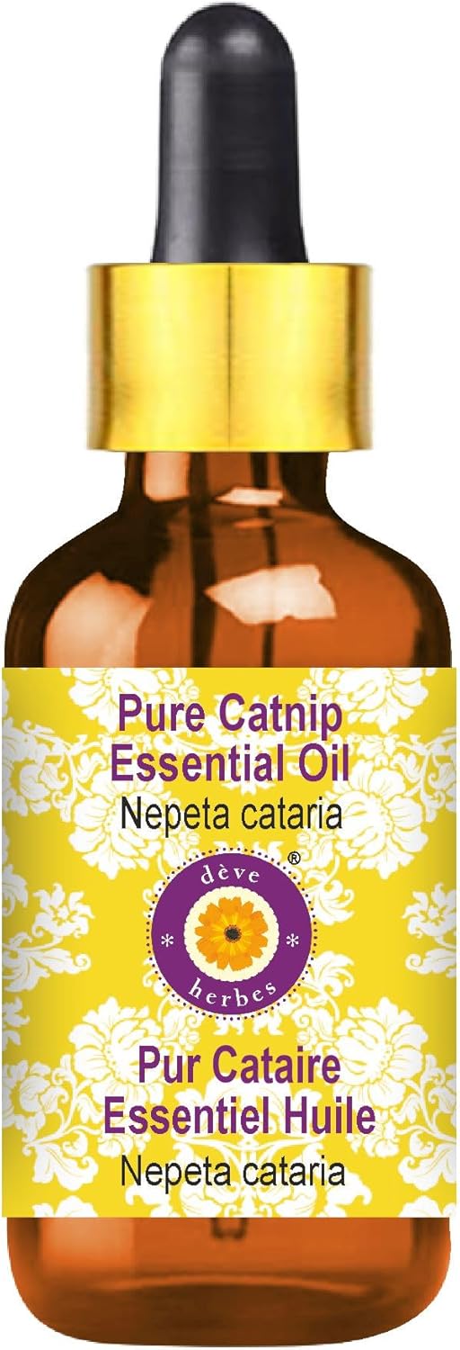 Dève Herbes Saffron Essential Oil (Crocus Sativus) With Glass Dropper | Pure | Non-Sticky | Non-Greasy | Lightweight | Men & Women | All Skin Types | Steam Distilled 2Ml (0.06 Oz)