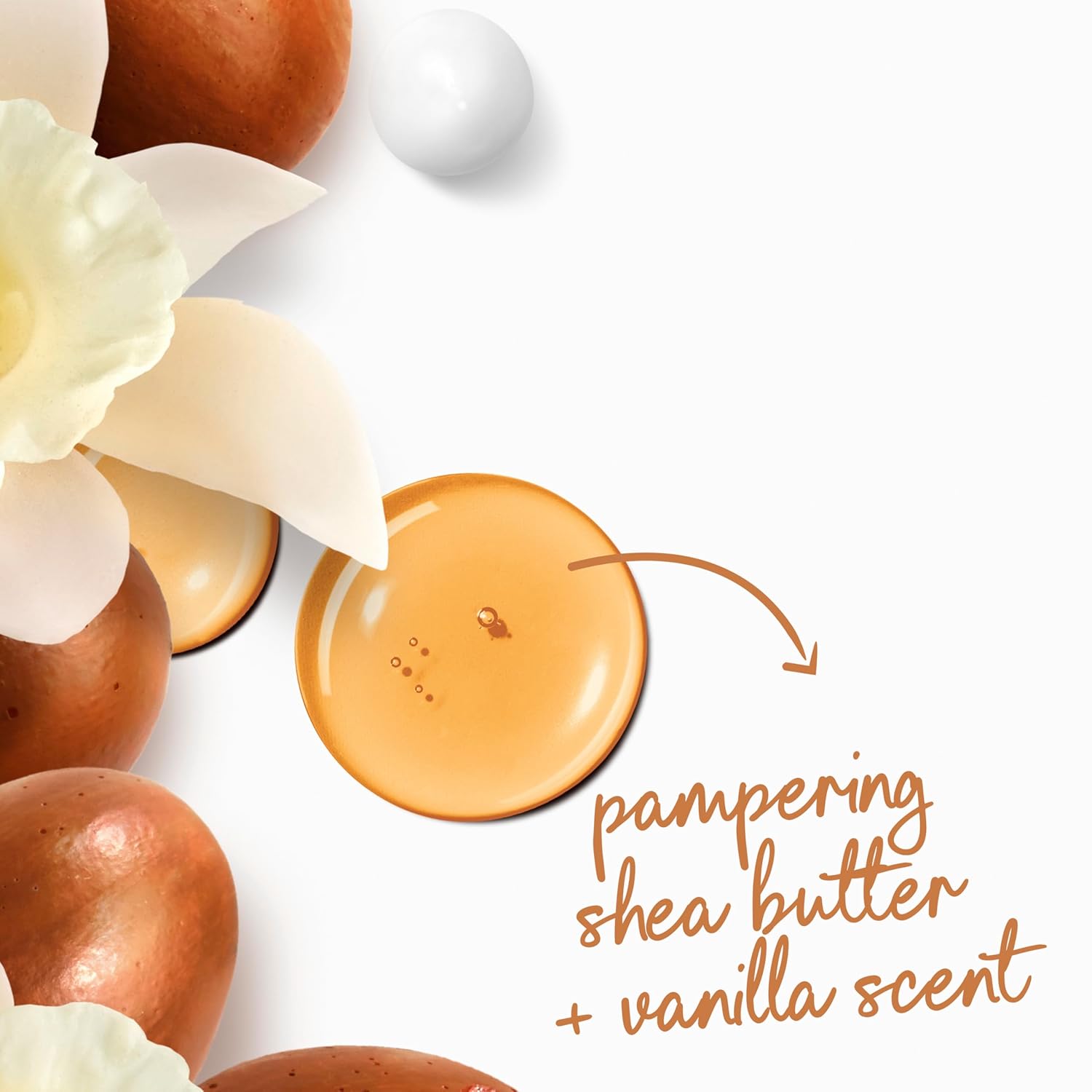 Dove Body Wash Rebalance White Peach & Rice Milk For 24Hr Lotion-Soft Skin Moisturizing Skin Cleanser With No Sulfates No Parabens 30.6 Oz : Beauty & Personal Care